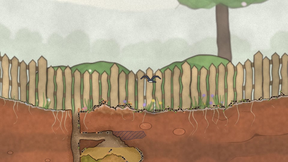 A dark bird hovering in front of the fence, just above the mound at the nest entrance. Ants are spread along the surface below it.