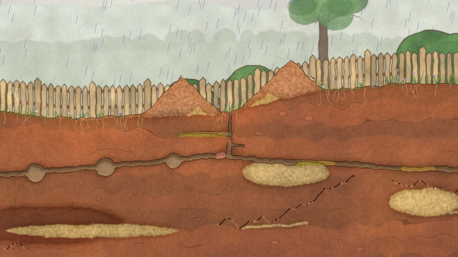 Rain falling on the yard. Two rubble mounds stand at the nest entrance and the galleries run on below.